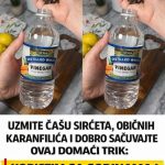 Uzmite čašu sirćeta, Običnih karanfilića i dobro sačuvajte ovaj domaći trik: KORISTIM GA GODINAMA I PREPORUČUJEM SVIMA! Uzmite čašu sirćeta, Običnih karanfilića i dobro sačuvajte ovaj domaći trik: KORISTIM GA GODINAMA I PREPORUČUJEM SVIMA! - featured image