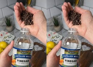 Uzmite čašu sirćeta, Običnih karanfilića i dobro sačuvajte ovaj domaći trik: KORISTIM GA GODINAMA I PREPORUČUJEM SVIMA! Uzmite čašu sirćeta, Običnih karanfilića i dobro sačuvajte ovaj domaći trik: KORISTIM GA GODINAMA I PREPORUČUJEM SVIMA! - featured image