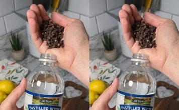 Uzmite čašu sirćeta, Običnih karanfilića i dobro sačuvajte ovaj domaći trik: KORISTIM GA GODINAMA I PREPORUČUJEM SVIMA! Uzmite čašu sirćeta, Običnih karanfilića i dobro sačuvajte ovaj domaći trik: KORISTIM GA GODINAMA I PREPORUČUJEM SVIMA! - featured image