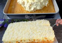 🍊 FANTA TORTA SA MANDARINAMA: OSVJEŽAVAJUĆI I RAZIGRANI DESERTNI UŽITAK ✨🎂 Vesela, citrusna i lagana – prava torta koja donosi sunce na tanjiru! 🌞 🍊 FANTA TORTA SA MANDARINAMA: OSVJEŽAVAJUĆI I RAZIGRANI DESERTNI UŽITAK ✨🎂 Vesela, citrusna i lagana – prava torta koja donosi sunce na tanjiru! 🌞 - featured image