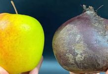 NE MOGU PRESTATI JESTI OVU SALATU! Sirova cikla, mrkva i jabuka: Recept koji mi je pomogao smršaviti 2 kg u tjedan dana! NE MOGU PRESTATI JESTI OVU SALATU! Sirova cikla, mrkva i jabuka: Recept koji mi je pomogao smršaviti 2 kg u tjedan dana! - featured image