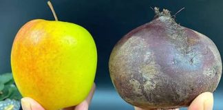 NE MOGU PRESTATI JESTI OVU SALATU! Sirova cikla, mrkva i jabuka: Recept koji mi je pomogao smršaviti 2 kg u tjedan dana! NE MOGU PRESTATI JESTI OVU SALATU! Sirova cikla, mrkva i jabuka: Recept koji mi je pomogao smršaviti 2 kg u tjedan dana! - featured image