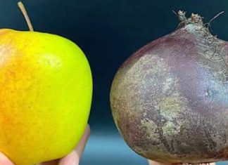 NE MOGU PRESTATI JESTI OVU SALATU! Sirova cikla, mrkva i jabuka: Recept koji mi je pomogao smršaviti 2 kg u tjedan dana! NE MOGU PRESTATI JESTI OVU SALATU! Sirova cikla, mrkva i jabuka: Recept koji mi je pomogao smršaviti 2 kg u tjedan dana! - featured image