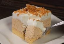 PLAZMA KOLAČ- preukusan kolač spreman za 15 minuta… PLAZMA KOLAČ- preukusan kolač spreman za 15 minuta… - featured image