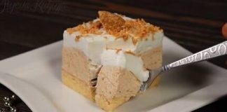 PLAZMA KOLAČ- preukusan kolač spreman za 15 minuta… PLAZMA KOLAČ- preukusan kolač spreman za 15 minuta… - featured image