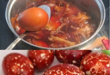 GALAKSIJA JAJA BEZ HEMIJE U LJUSCI LUKA.. NAJLEPŠA JAJA ZA USKRS GALAKSIJA JAJA BEZ HEMIJE U LJUSCI LUKA.. NAJLEPŠA JAJA ZA USKRS - featured image