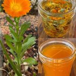 12 glavnih zdravstvenih prednosti nevena 12 glavnih zdravstvenih prednosti nevena - featured image