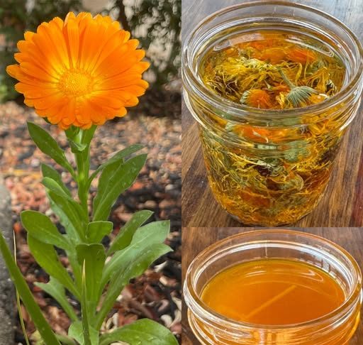 12 glavnih zdravstvenih prednosti nevena 12 glavnih zdravstvenih prednosti nevena - featured image