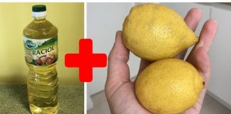 Svekrva mi je savjetovala da pomiješam limun sa običnim uljem: To je savršen kućni TRIK, koristim ga svaki dan! Svekrva mi je savjetovala da pomiješam limun sa običnim uljem: To je savršen kućni TRIK, koristim ga svaki dan! - featured image