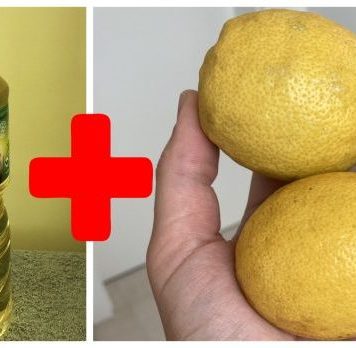 Svekrva mi je savjetovala da pomiješam limun sa običnim uljem: To je savršen kućni TRIK, koristim ga svaki dan! Svekrva mi je savjetovala da pomiješam limun sa običnim uljem: To je savršen kućni TRIK, koristim ga svaki dan! - featured image