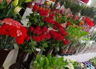 Jednu vrstu cvijeća nikako nemojte poklanjati ženama za 8. mart: DONOSI SAMO TUGU I NESREĆU Jednu vrstu cvijeća nikako nemojte poklanjati ženama za 8. mart: DONOSI SAMO TUGU I NESREĆU - featured image