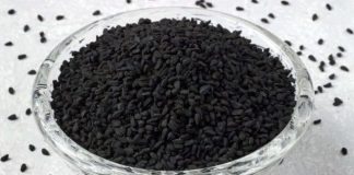 Božija biljka, spominje se čak u Bibliji i Kuranu: Čisti jetru, liječi nadutost, jača krvne sudove i imunitet Božija biljka, spominje se čak u Bibliji i Kuranu: Čisti jetru, liječi nadutost, jača krvne sudove i imunitet - featured image