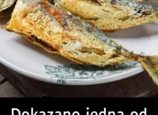 Dokazano jedna od najzdravijih riba na svijetu: Jeftinija je od lososa, trebate je češće jesti Dokazano jedna od najzdravijih riba na svijetu: Jeftinija je od lososa, trebate je češće jesti - featured image