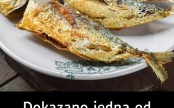 Dokazano jedna od najzdravijih riba na svijetu: Jeftinija je od lososa, trebate je češće jesti Dokazano jedna od najzdravijih riba na svijetu: Jeftinija je od lososa, trebate je češće jesti - featured image