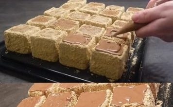 PLAZMA KOCKE..Divan kolač,jednostavan i izdašan… PLAZMA KOCKE..Divan kolač,jednostavan i izdašan… - featured image