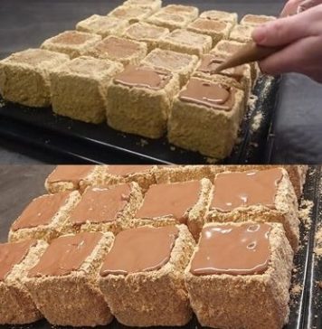 PLAZMA KOCKE..Divan kolač,jednostavan i izdašan… PLAZMA KOCKE..Divan kolač,jednostavan i izdašan… - featured image