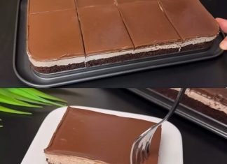 Moji ukućani govore da pravim ovaj desert 3 puta sedmično! Lagan i brz recepti! Moji ukućani govore da pravim ovaj desert 3 puta sedmično! Lagan i brz recepti! - featured image