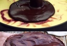 CRNA ŠUMA…KOLAČ SA VIŠNJAMA I SIROM KOJI ĆE VAS ODUŠEVITI CRNA ŠUMA…KOLAČ SA VIŠNJAMA I SIROM KOJI ĆE VAS ODUŠEVITI - featured image