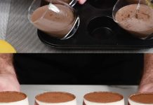 PANNA COTTA SA ČOKOLADOM I MALINAMA: Jednostavno i Bez Kuvanja PANNA COTTA SA ČOKOLADOM I MALINAMA: Jednostavno i Bez Kuvanja - featured image