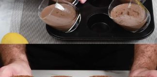 PANNA COTTA SA ČOKOLADOM I MALINAMA: Jednostavno i Bez Kuvanja PANNA COTTA SA ČOKOLADOM I MALINAMA: Jednostavno i Bez Kuvanja - featured image