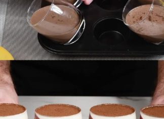 PANNA COTTA SA ČOKOLADOM I MALINAMA: Jednostavno i Bez Kuvanja PANNA COTTA SA ČOKOLADOM I MALINAMA: Jednostavno i Bez Kuvanja - featured image