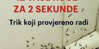 Samo 1 kap i mravi će odmah nestati: Najefikasniji kućni TRIK! Samo 1 kap i mravi će odmah nestati: Najefikasniji kućni TRIK! - featured image