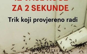 Samo 1 kap i mravi će odmah nestati: Najefikasniji kućni TRIK! Samo 1 kap i mravi će odmah nestati: Najefikasniji kućni TRIK! - featured image