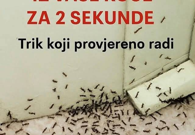 Samo 1 kap i mravi će odmah nestati: Najefikasniji kućni TRIK! - featured image Samo 1 kap i mravi će odmah nestati: Najefikasniji kućni TRIK! - featured image