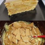 GOTOV ZA PAR MINUTA – Vanila kolač sa keksom bez pečenja, brz, jednostavan i preukusan! GOTOV ZA PAR MINUTA – Vanila kolač sa keksom bez pečenja, brz, jednostavan i preukusan! - featured image