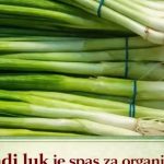 Mladi luk je spas za organizam: 10 razloga zašto ga morate jesti ovog proleća – smanjuje šećer, sprečava bolest da se razmaše Mladi luk je spas za organizam: 10 razloga zašto ga morate jesti ovog proleća – smanjuje šećer, sprečava bolest da se razmaše - featured image