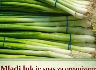 Mladi luk je spas za organizam: 10 razloga zašto ga morate jesti ovog proleća – smanjuje šećer, sprečava bolest da se razmaše Mladi luk je spas za organizam: 10 razloga zašto ga morate jesti ovog proleća – smanjuje šećer, sprečava bolest da se razmaše - featured image