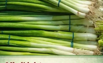 Mladi luk je spas za organizam: 10 razloga zašto ga morate jesti ovog proleća – smanjuje šećer, sprečava bolest da se razmaše Mladi luk je spas za organizam: 10 razloga zašto ga morate jesti ovog proleća – smanjuje šećer, sprečava bolest da se razmaše - featured image