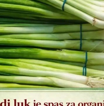 Mladi luk je spas za organizam: 10 razloga zašto ga morate jesti ovog proleća – smanjuje šećer, sprečava bolest da se razmaše Mladi luk je spas za organizam: 10 razloga zašto ga morate jesti ovog proleća – smanjuje šećer, sprečava bolest da se razmaše - featured image