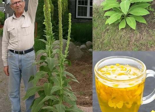 Naši preci su je obožavali, a danas je skoro zaboravljena! - featured image Naši preci su je obožavali, a danas je skoro zaboravljena! - featured image