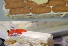 BRZA TORTA SA JAGODAMA I PLAZMA KEKSOM…Bez kuhanja i pečenja… BRZA TORTA SA JAGODAMA I PLAZMA KEKSOM…Bez kuhanja i pečenja… - featured image