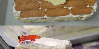 BRZA TORTA SA JAGODAMA I PLAZMA KEKSOM…Bez kuhanja i pečenja… BRZA TORTA SA JAGODAMA I PLAZMA KEKSOM…Bez kuhanja i pečenja… - featured image