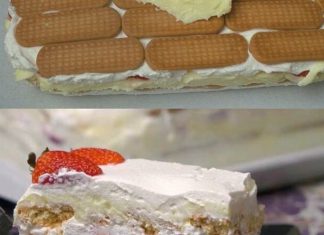 BRZA TORTA SA JAGODAMA I PLAZMA KEKSOM…Bez kuhanja i pečenja… BRZA TORTA SA JAGODAMA I PLAZMA KEKSOM…Bez kuhanja i pečenja… - featured image