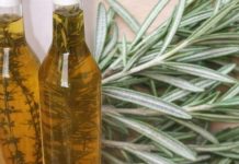 RUZMARIN I RAKIJA: Tretman za bolne vene, cirkulaciju i grčeve u nogama! RUZMARIN I RAKIJA: Tretman za bolne vene, cirkulaciju i grčeve u nogama! - featured image