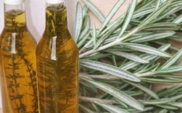 RUZMARIN I RAKIJA: Tretman za bolne vene, cirkulaciju i grčeve u nogama! RUZMARIN I RAKIJA: Tretman za bolne vene, cirkulaciju i grčeve u nogama! - featured image