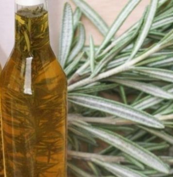 RUZMARIN I RAKIJA: Tretman za bolne vene, cirkulaciju i grčeve u nogama! RUZMARIN I RAKIJA: Tretman za bolne vene, cirkulaciju i grčeve u nogama! - featured image