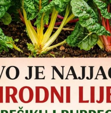 OVO JE NAJJACI PRIRODNI LIJEK ZA BEŠIKU I BUBREGE: Jedite samo 200 grama ove biljke dnevno, bolja je od bilo kojeg antibiotika PROVJERENO! OVO JE NAJJACI PRIRODNI LIJEK ZA BEŠIKU I BUBREGE: Jedite samo 200 grama ove biljke dnevno, bolja je od bilo kojeg antibiotika PROVJERENO! - featured image