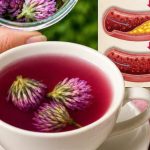 Možda ste ga viđali svugdje, ali niste znali njegovu moć… Možda ste ga viđali svugdje, ali niste znali njegovu moć… - featured image