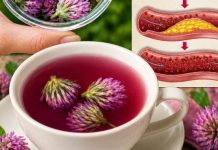 Možda ste ga viđali svugdje, ali niste znali njegovu moć… Možda ste ga viđali svugdje, ali niste znali njegovu moć… - featured image