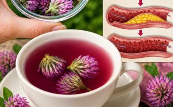 Možda ste ga viđali svugdje, ali niste znali njegovu moć… Možda ste ga viđali svugdje, ali niste znali njegovu moć… - featured image