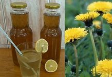 RECEPT ZA DOMAฤI SIRUP OD MASLAฤKA: Ljekovita superhrana za koju ne morate izdvojiti ni euraโฆ RECEPT ZA DOMAฤI SIRUP OD MASLAฤKA: Ljekovita superhrana za koju ne morate izdvojiti ni euraโฆ - featured image