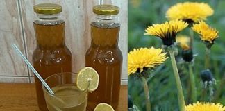 RECEPT ZA DOMAĆI SIRUP OD MASLAČKA: Ljekovita superhrana za koju ne morate izdvojiti ni eura… RECEPT ZA DOMAĆI SIRUP OD MASLAČKA: Ljekovita superhrana za koju ne morate izdvojiti ni eura… - featured image