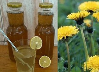 RECEPT ZA DOMAĆI SIRUP OD MASLAČKA: Ljekovita superhrana za koju ne morate izdvojiti ni eura… RECEPT ZA DOMAĆI SIRUP OD MASLAČKA: Ljekovita superhrana za koju ne morate izdvojiti ni eura… - featured image