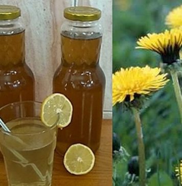 RECEPT ZA DOMAĆI SIRUP OD MASLAČKA: Ljekovita superhrana za koju ne morate izdvojiti ni eura… RECEPT ZA DOMAĆI SIRUP OD MASLAČKA: Ljekovita superhrana za koju ne morate izdvojiti ni eura… - featured image