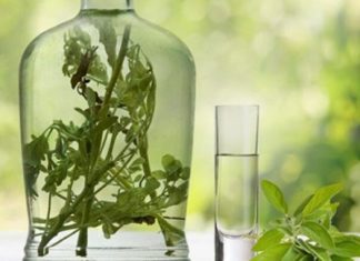 RAKIJA OD ŽALFIJE JAČA JE OD SVAKE HEMIJE: Ova 3 recepta obavezno čuvajte za zdravlje vas i vaše porodice… RAKIJA OD ŽALFIJE JAČA JE OD SVAKE HEMIJE: Ova 3 recepta obavezno čuvajte za zdravlje vas i vaše porodice… - featured image