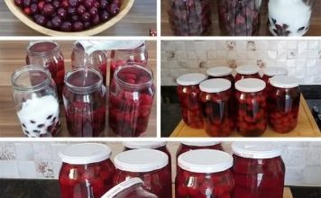 Metoda koju me je mama naučila KOMPOT OD VIŠNJA ILI TREŠANJA BEZ KUVANJA I CEĐENJA Metoda koju me je mama naučila KOMPOT OD VIŠNJA ILI TREŠANJA BEZ KUVANJA I CEĐENJA - featured image